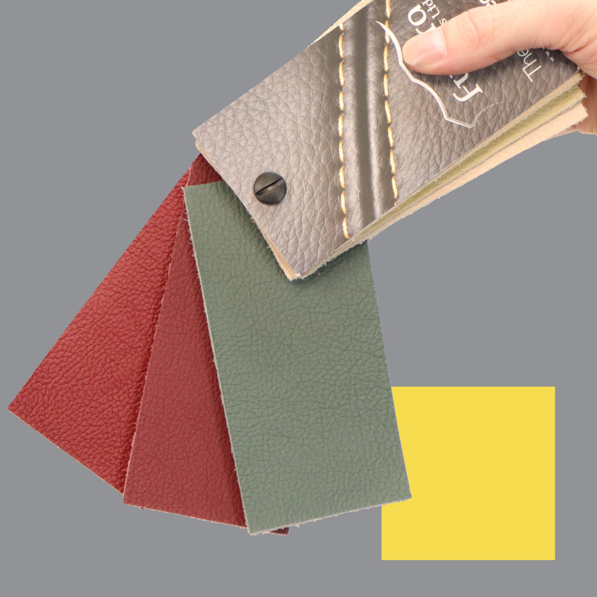 Palette-Birch-Gruen-und-Rot